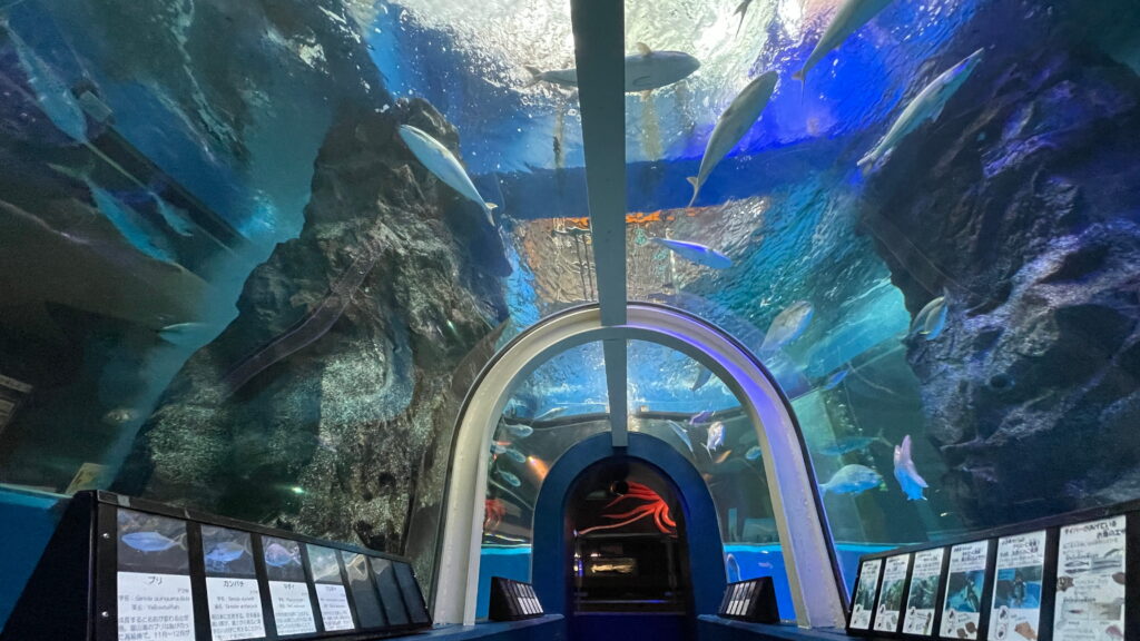 魚津水族館
