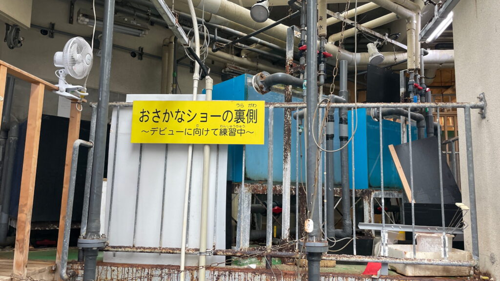 魚津水族館