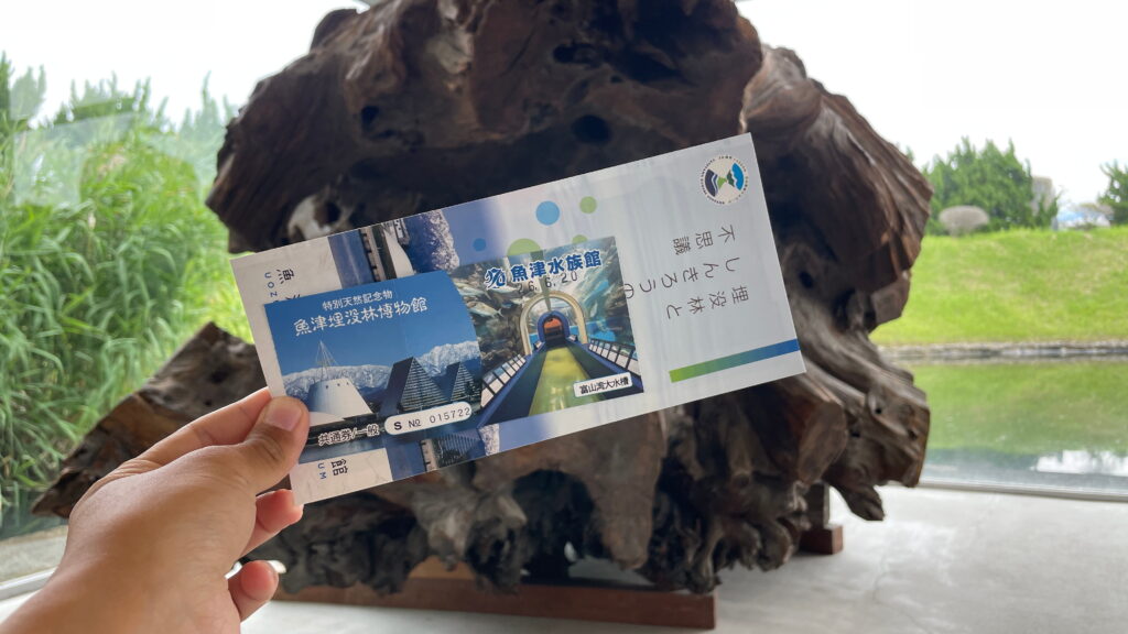 魚津埋没林博物館