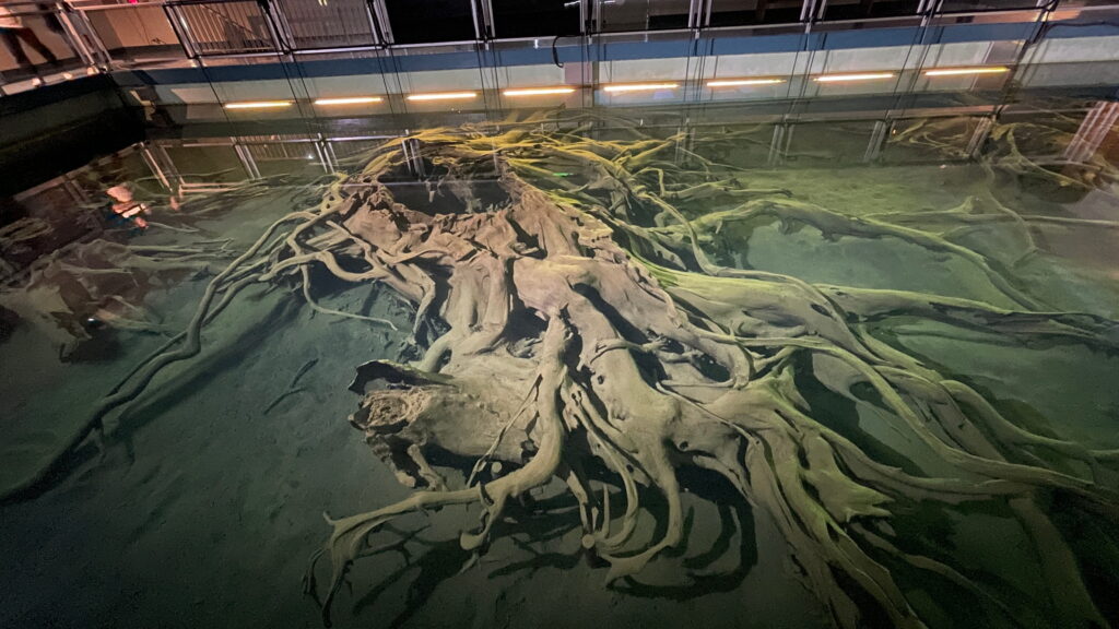 魚津埋没林博物館