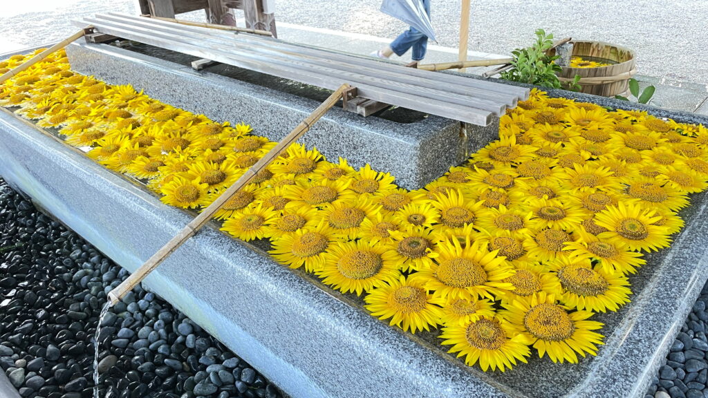 高岡古城公園と射水神社