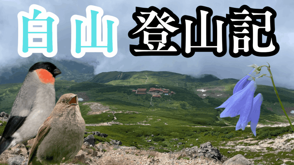 サムネ