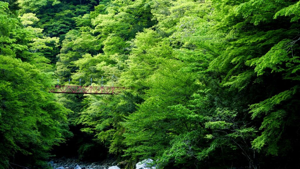 べふ峡