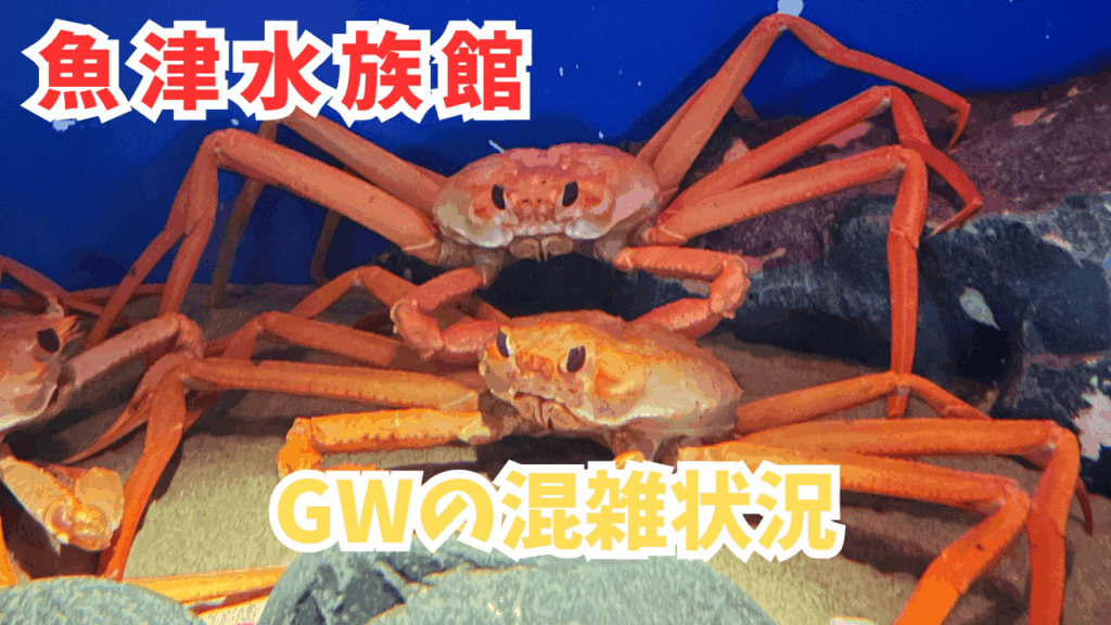 サムネ