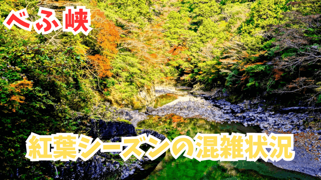 サムネ