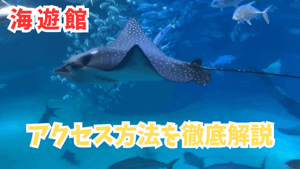 サムネ