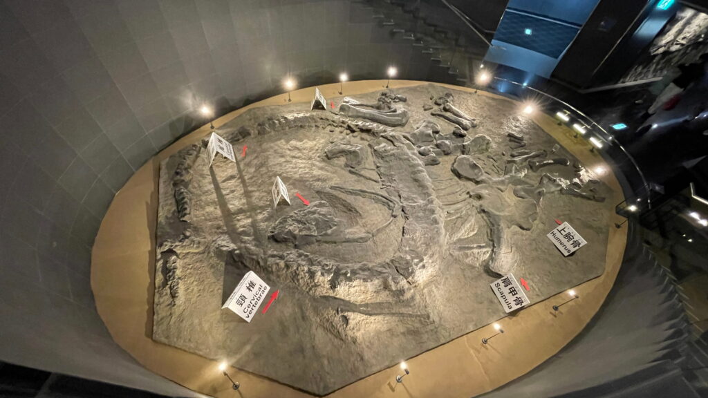福井県立恐竜博物館