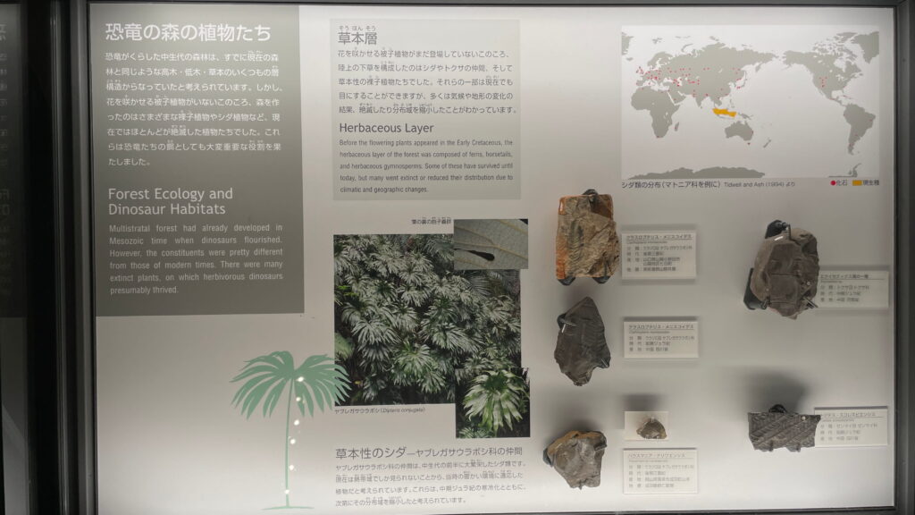 福井県立恐竜博物館