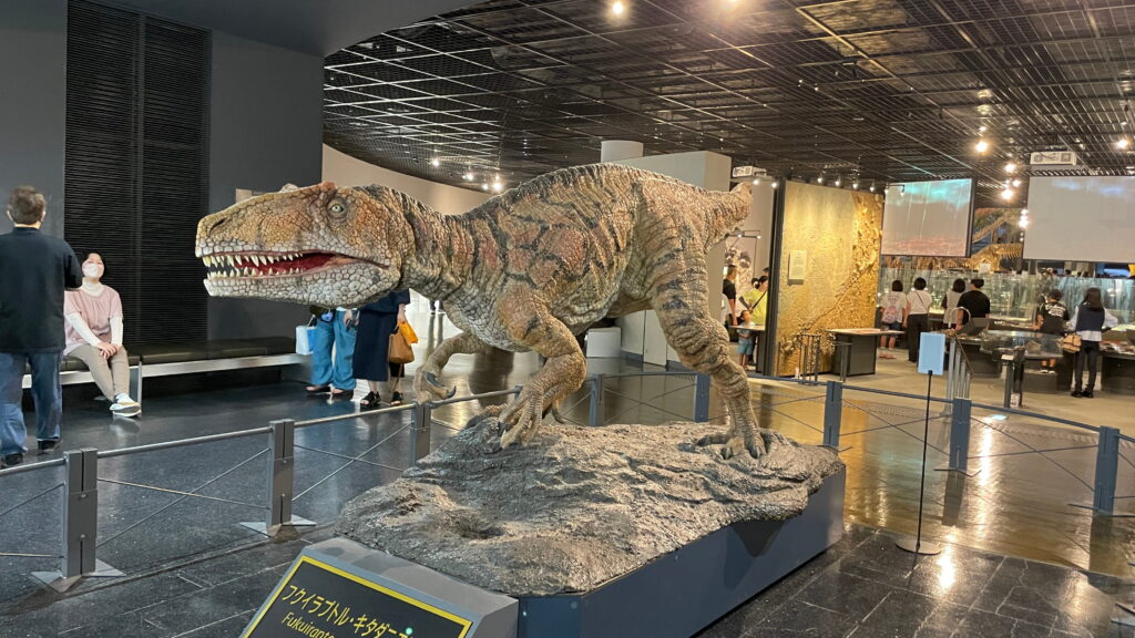 福井県立恐竜博物館　フクイラプトル・キタダニエンシス