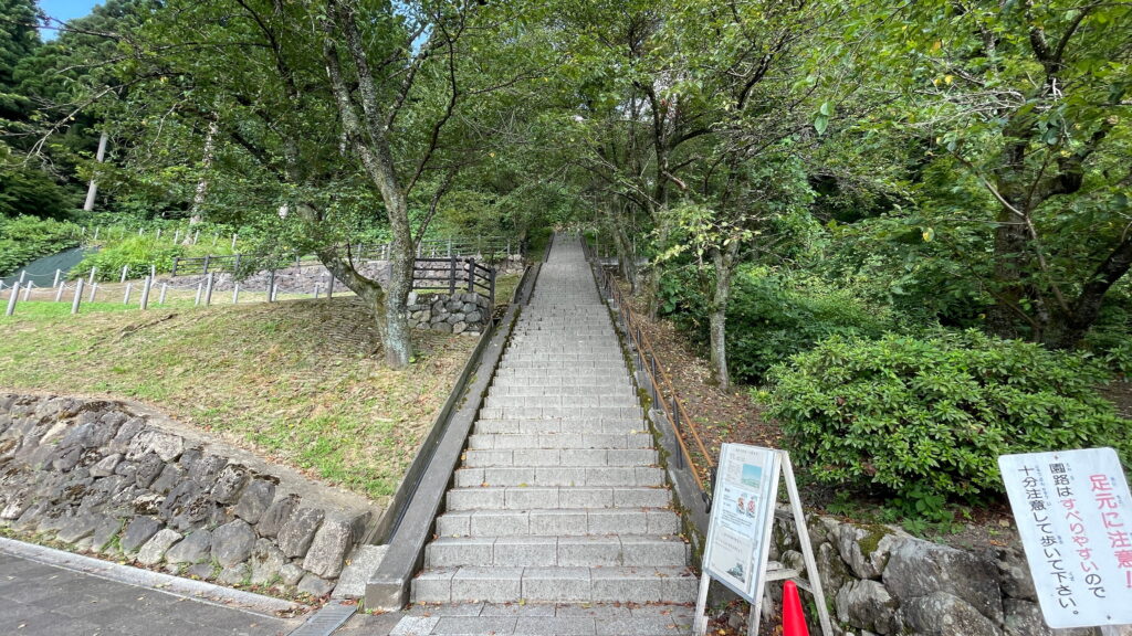越前大野城