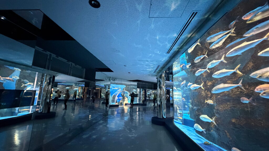 のとじま水族館