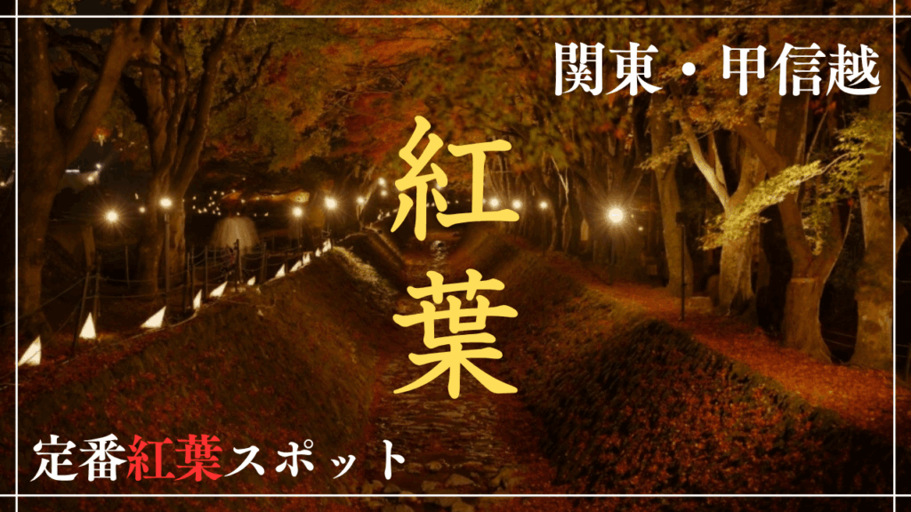 サムネ