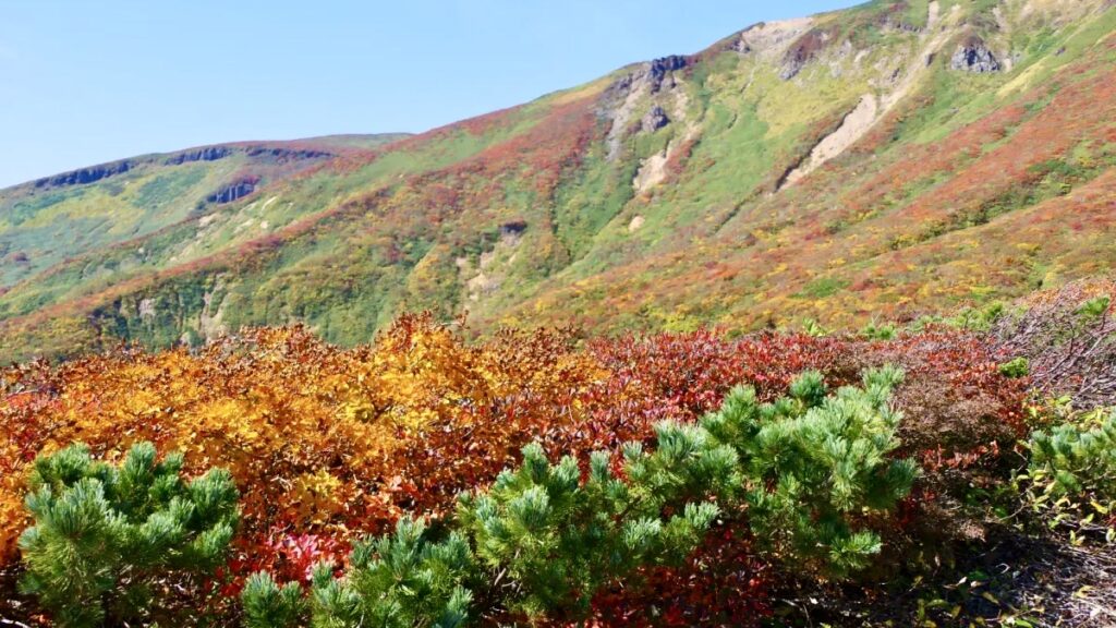 栗駒山